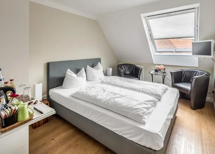 酒店 Zum Roten Tore 3*